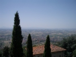 Cypress trees and the Tuscan landscape around San Gimignano